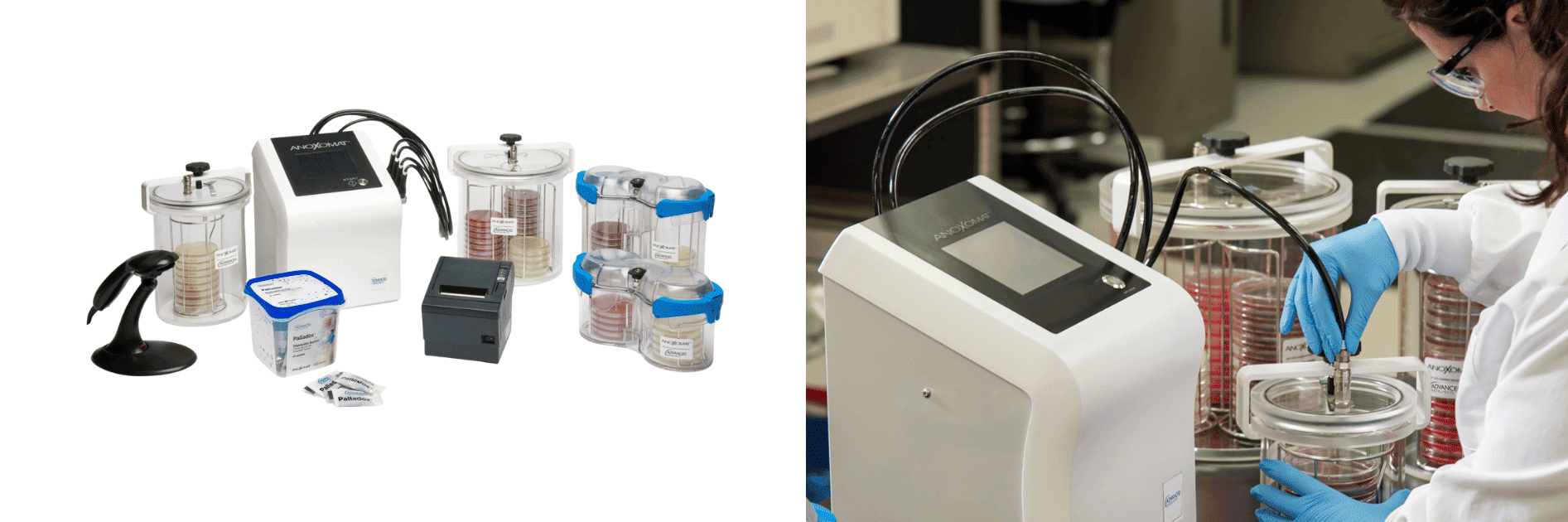 Doğrulanabilir, Kolay, Tekrarlanabilir, İzlenebilir Anaerobik Kültür Ortamı