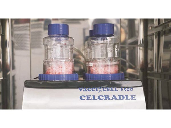 Aşı Üretiminde CelCradle Kullanımı