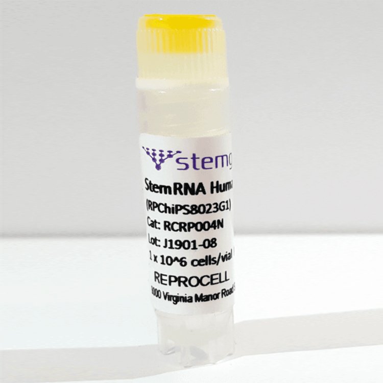 StemRNA Human iPSC 802-3G(1 vial)Stemgent