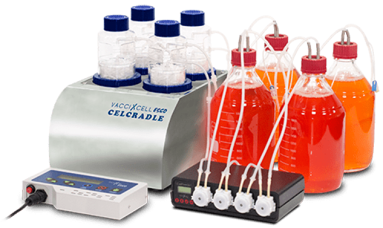 CelCradle™ Masaüstü Bioreaktör