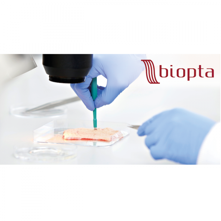 Predictive Drug Discovery Services Biopta