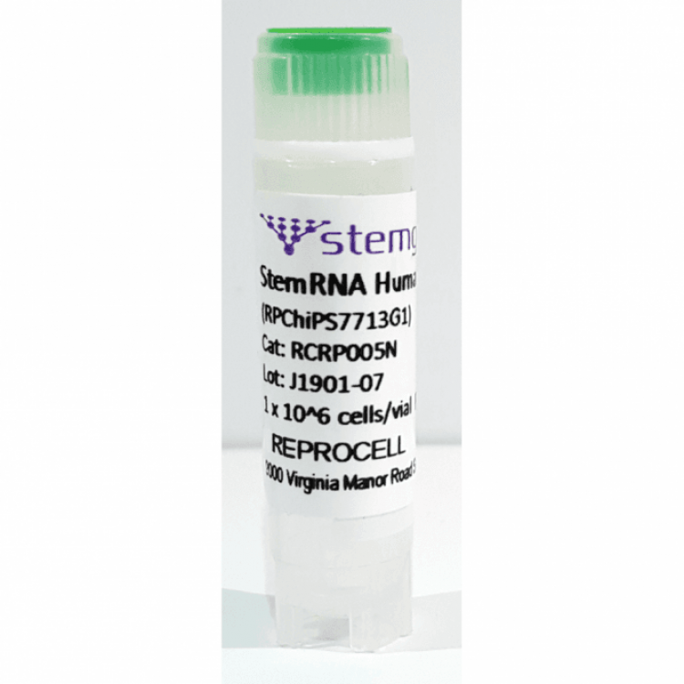Induced Pluripotent Stem Cells (iPSCs)